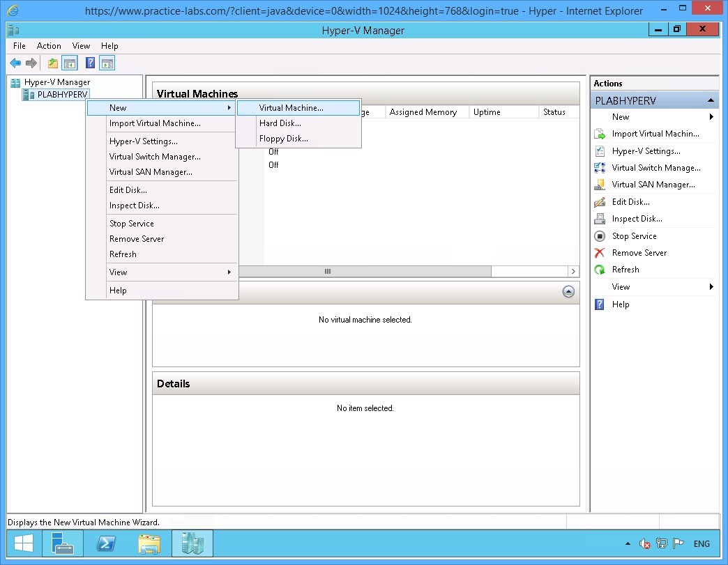 Figure 3.1 Screenshot of the device PLABHYPERV